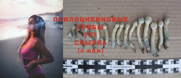 твердый Заволжье