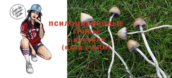 бошки Сатка