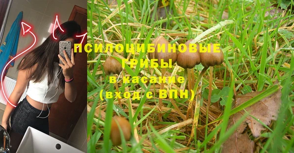 альфа пвп Краснотурьинск
