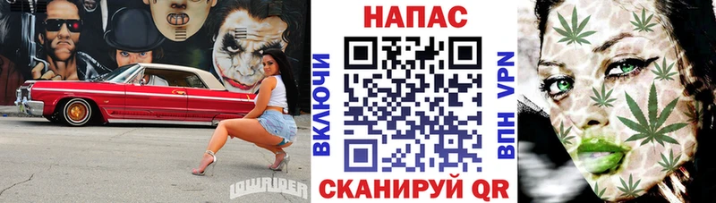 Конопля Amnesia  даркнет сайт  kraken как зайти  Светогорск 